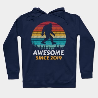 Awesome Since 2019 Hoodie